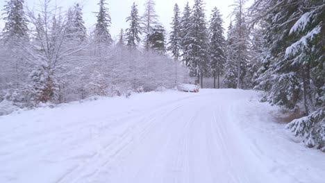 Picturesque-winter-landscape-POV-car-ride-on-wild-road-in-frosty-pine-forest-on-a-cold-snowy-day---FPV,-drivers-point-of-view
