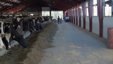 Vaca-Automatización-Agricultura-Agrícola-Granja-Lechera