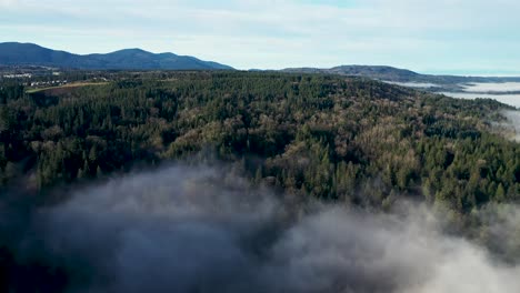 Luftüberführung-Wunderschöne-Natürliche-Waldlandschaft-Mit-Niedriger-Wolkenlandschaft-Und-Malerischen-Berghügeln-Im-Hintergrund