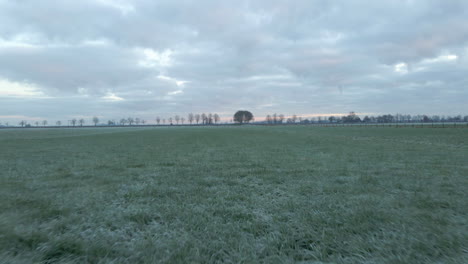 Moving-fast-and-low-over-frost-covered-meadow-at-dawn