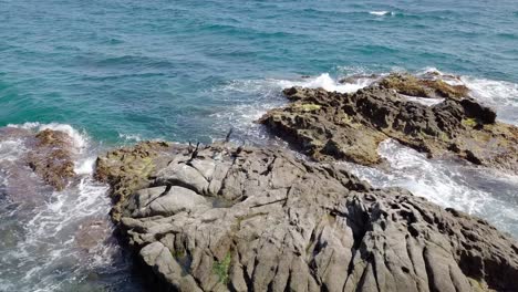 Drone-footage-of-cormorants-sitting-on-a-Mediterranean-sea-rock