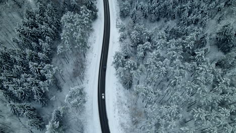 Aerial-Top-Down-View-Of-snow-covered-Forest-Road-in-Poland