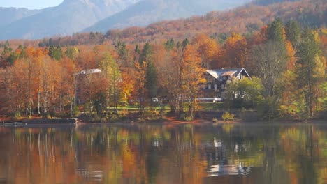 Autumn-colors,-house-and-forest-on-lake-Bohinj,-Slovenia