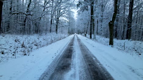 Driving-car-through-snow-covered-road-in-the-middle-of-an-enchanted-woodland,-Pov-shot