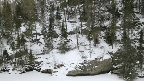 Aerial-pan-left-of-frozen-shore-line-where-steep-rocky-cliffs-meet-snow-covered-ice-in-a-northern-Canadian-boreal-forest