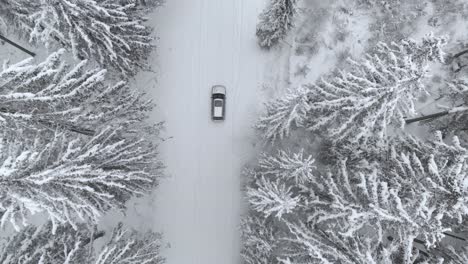 Aerial-and-symmetrical-view-of-a-car-on-snowy-road-in-snow-covered-forest,-on-a-cloudy,-winter-day---drone-shot,-tracking-shot,-top-down