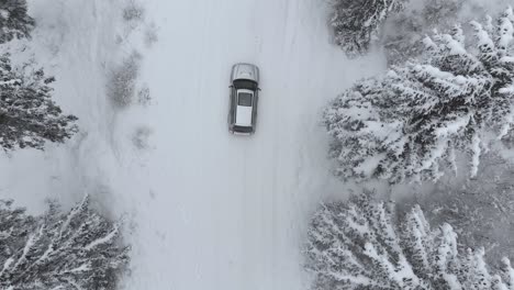 Aerial-view-overlooking-a-car-on-the-road,-in-middle-of-snow-covered-trees-and-snowy-forest,-on-a-cloudy,-winter-day---Top-down,-tracking-shot,-drone-shot
