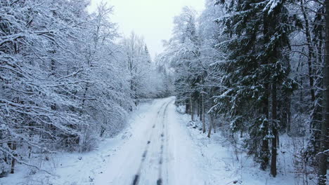 Car-Tire-Tracks-On-Winter-Road-In-Snowscape-Lonely-Forest-Near-Deby-Village,-Poland