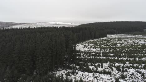 Aerial-snowing-winter-forestry-landscape-coniferous-fairy-tale-snow-white-forest-landscape-panning-right