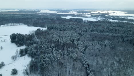 Aerial-panning-shot-of-fairytale-winter-wonderland-landscape-with-trees-and-snowy-rural-fields-in-nature