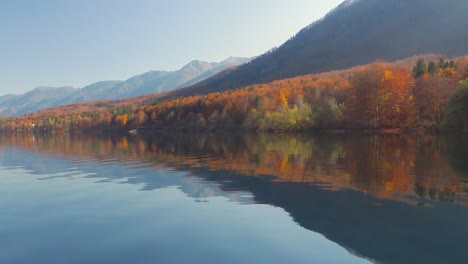 Autumn-colors-and-forest-on-lake-Bohinj,-Slovenia