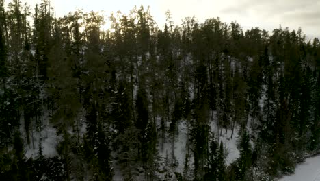 Luftaufnahme-Des-Sonnenuntergangs-Hinter-Dem-Winterlichen-Borealen-Wald,-Der-Auf-Ein-Zugefrorenes-Seeufer-Im-Norden-Kanadas-Trifft