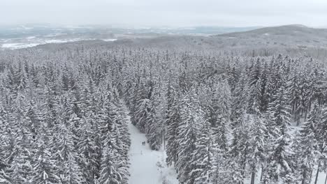 Aerial-view-overlooking-a-natural-trail-with-two-silhouettes-in-distance,-in-middle-of-snow-covered-trees-and-snowy-forest-with-a-valley-behind,-on-a-winter-day---drone-shot,-following,-tilt-up