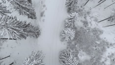 Aerial-view-of-a-car-leaving-a-scene-on-snowy-road-in-snow-covered-forest,-on-a-cloudy-winter-day---drone-shot,-tracking-shot,-overhead