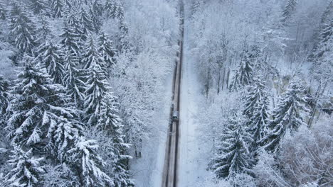 Vehicle-Traveling-Across-The-Snow-Covered-Country-Lane-Through-Trees-Near-Deby-Village,-Poland