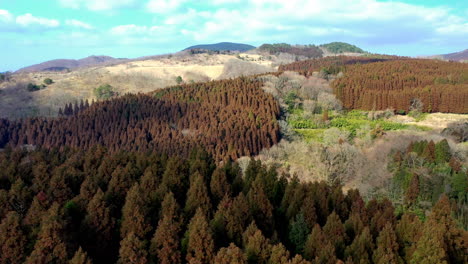 Drone-shot-of-mountains-near-Kokonoe-Yume-Otsurihasi