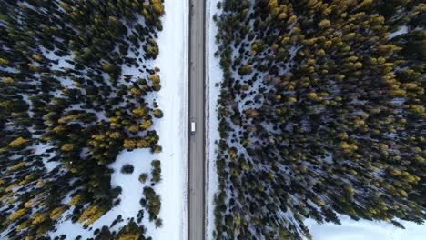 Top-Down-Aerial-View-of-Lonely-Truck-Moving-on-Straight-Countryside-Road,-Winter-Landscape-and-Snow-Capped-Mountain-Fields-With-Coniferous-Forest,-High-Angle-Drone-Shot