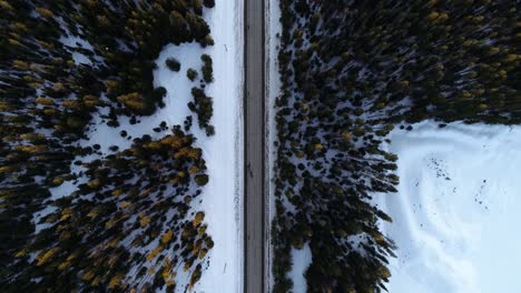 Birdseye-Aerial-View-of-Empty-Straight-Road-in-a-Cold-Winter-Mountain-Landscape,-Snow-Capped-Fields-and-Conifer-Forest