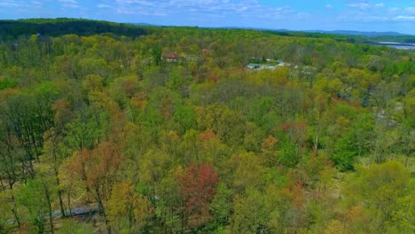 Aerial-View-of-Spring-Time-Colors-of-a-Forest-on-a-Sunny-Day