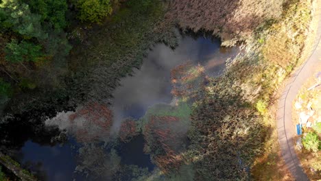 Top-aerial-view-of-freshwater-swamp-woods-reflecting-sky,-Sweden,-day