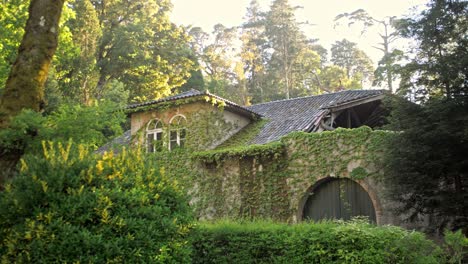 ivy-covered-old-mansion-surrounded-by-greenery-in-a-park,-Portugal