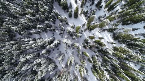 Idyllic-Winter-Landscape-on-Snowy-Mountain,-Birdseye-Aerial-View