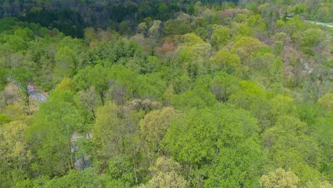 Aerial-View-of-Spring-Time-Colors-of-a-Forest-with-a-Rail-Road-Track-on-a-Sunny-Day