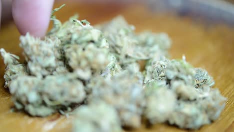 Close-up-rotating-shot-marijuana-weed-buds-grown-organically-with-hands-handling-the-weed