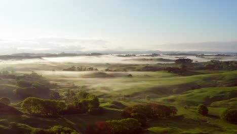 Morning-Fog-Over-Green-Fields-And-Hills-In-Te-Arai,-North-Island-Of-New-Zealand