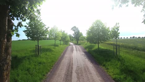 Flying-in-Between-Trees-in-South-Sweden-Skåne,-Österlen-Summertime,-Aerial-Low-Forward-Slow