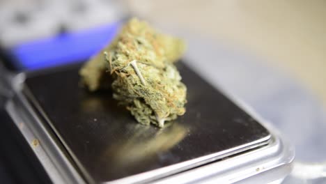 Close-up-rotating-shot-of-one-gram-of-marijuana-weed-buds-grown-organically