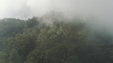 Vista-Aérea-De-Drones-De-Un-Bosque-Nublado-En-La-Parte-Superior-Del-Valle-Durante-El-Día-De-Niebla