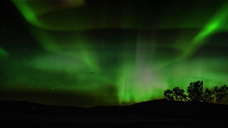 Aurora-Mit-Einer-Bergigen-Ebene-Im-Vordergrund-Mit-Bäumen-Bei-Nacht
