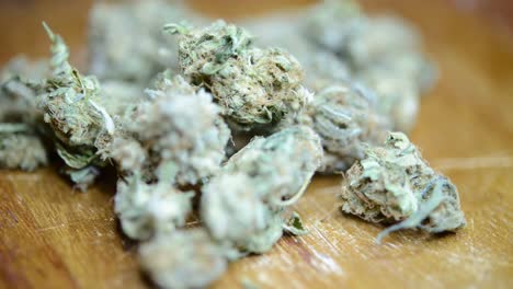 Close-up-rotating-shot-marijuana-weed-buds-grown-organically-with-hand