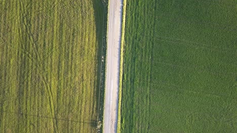 Road-Separating-Two-Farm-Fields-of-Green-Color