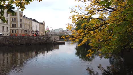 Herbstliche-Kanalszene-Mit-Ästen,-Die-über-Dem-Wasser-Hängen,-Göteborg,-Schweden