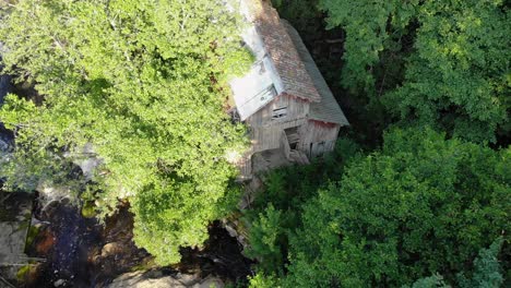 Aerial-of-water-stream-and-old-barn-in-lush-green-forest-on-sunny-day