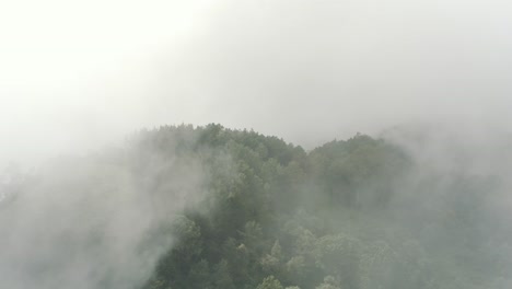 Drone-aerial-flying-high-through-the-clouds-revealing-forest-in-top-of-a-mountain
