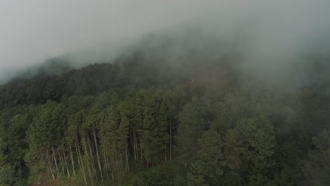 Drohne-Luftaufnahme,-Die-über-Hohe-Bäume-In-Einem-Nebelwald-Auf-Der-Spitze-Des-Berges-In-Guatemala-Fliegt
