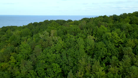 Beautiful-lush-green-mountain-forest-by-the-sea--Gdynia,-Poland--Aerial