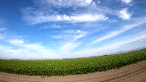 Driving-through-a-long-stretch-of-California's-farmland-in-Castroville,-California
