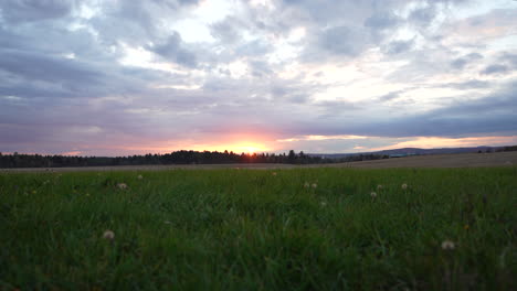 Schwenk-Von-Rechts-Nach-Links-In-Einem-Feld-Bei-Sonnenuntergang