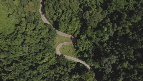 Aerial-ascending-view-of-winding-road-through-green-jungle