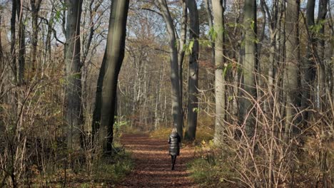 Woman-on-the-Path-in-the-Park-walking-in-forest-during-fall