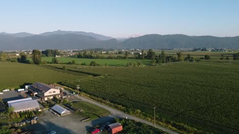 2-4-Aerial-super-slow-fly-over-mountain-valley-farms-on-a-sunny-summer-day-with-lush-green-rows-of-crop-vineyards-fruit-at-a-cultivated-countryside-with-a-natural-scenic-ripe-harvest-of-the-plentiful