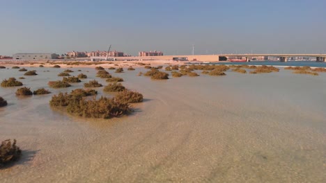 Low-Altitude-Drone-Aerial-Shallow-Ocean-Water-Sea-Plants-and-city-background
