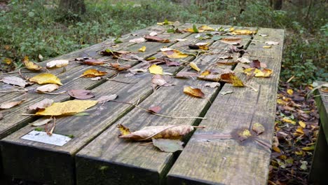 Picknicktisch-Aus-Holz-Im-Herbstwald,-Der-Mit-Saisonalen-Landschaftsblättern-Bedeckt-Ist