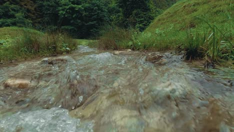 Dolly-in-camera-movement-showing-a-mountain-stream-rapids-with-a-meadow-and-a-forest-in-the-background-at-the-Piatra-Mare-Carpathian-Mountains