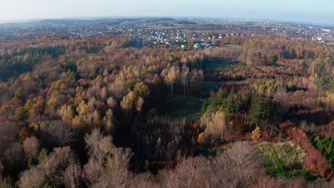 Herbstwald-Von-Oben-Mit-Kleiner-Stadt-4k