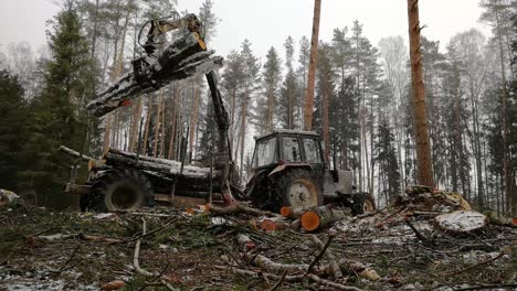 Forsttraktor,-Der-Während-Des-Verschneiten-Tages-Baumstämme-Greift